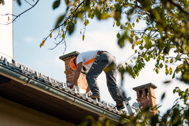 Best Sealant for Roof  in Twin Lakes, VA