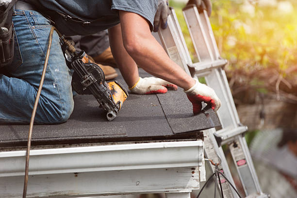 Best Roof Gutter Cleaning  in Twin Lakes, VA